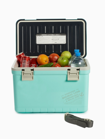 Термобокс SHINWA Holiday Land Cooler 22H синий, 22 литров