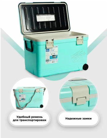 Термобокс SHINWA Holiday Land Cooler 33H синий, 33 литра