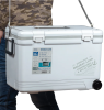 Термобокс SHINWA Holiday Land Cooler 33H белый, 33 литра